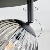 Chehalis Plafondlamp, Kogellampje Rookkleurig, 4-lichts