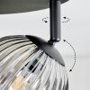 Chehalis Plafondlamp, Kogellampje Amber, Rookkleurig, 4-lichts