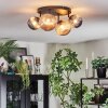 Chehalis Plafondlamp, Kogellampje Amber, Rookkleurig, 4-lichts