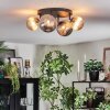 Chehalis Plafondlamp, Kogellampje Amber, Rookkleurig, 4-lichts