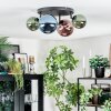 Chehalis Plafondlamp, Kogellampje Blauw, Groen, Koperkleurig, 4-lichts