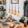 Basto Hanglamp, Hanglamp Natuurlijke kleuren, Zwart, 4-lichts