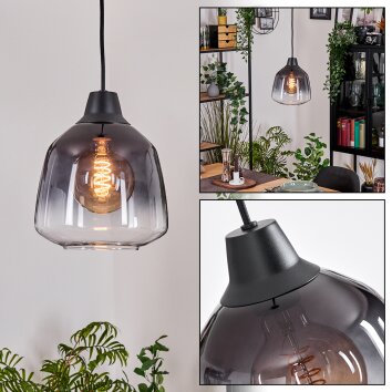 Dekan Hanglamp, Hanglamp Zwart, 1-licht
