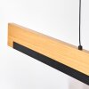 Inzino Hanglamp, Hanglamp LED Zwart, 1-licht