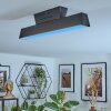 Tarin Plafondlamp LED Zwart, 1-licht, Kleurwisselaar