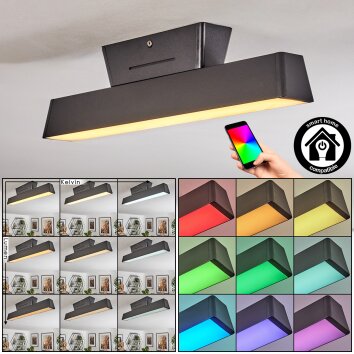 Tarin Plafondlamp LED Zwart, 1-licht, Kleurwisselaar