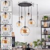 Koyoto Hanglamp, Kogellampje, Hanglamp 45 cm Amber, Duidelijk, 5-lichts