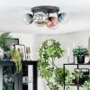 Chehalis Plafondlamp, Kogellampje Blauw, Groen, Duidelijk, Koperkleurig, 4-lichts
