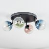 Chehalis Plafondlamp, Kogellampje Blauw, Groen, Duidelijk, Koperkleurig, 4-lichts