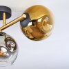 Ripoll Plafondlamp, Kogellampje Goud, Zwart, 3-lichts