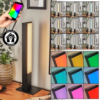 Delan Tafellamp LED Zwart, 1-licht, Kleurwisselaar