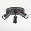 Foren Plafondlamp, Plafondspot LED Zwart, 3-lichts, Kleurwisselaar