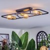 Moral Plafondlamp Messing, Zwart, 3-lichts