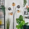 Ripoll Kogellampje, Staande lamp Amber, Rookkleurig, 5-lichts