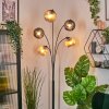 Ripoll Kogellampje, Staande lamp Amber, Rookkleurig, 5-lichts