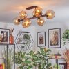 Koyoto Plafondlamp, Kogellampje Amber, 8-lichts