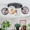 Koyoto Plafondlamp, Kogellampje Amber, Duidelijk, Rookkleurig, 4-lichts