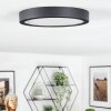 Finsrud Badkamerlamp, Plafondlamp, Paneel LED Zwart, 1-licht