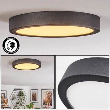 Finsrud Badkamerlamp, Plafondlamp, Paneel LED Zwart, 1-licht
