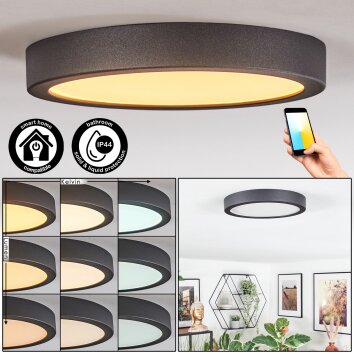 Finsrud Badkamerlamp, Plafondlamp, Paneel LED Zwart, 1-licht