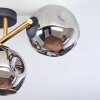 Ripoll Plafondlamp, Kogellampje Goud, Zwart, 3-lichts