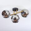 Ripoll Plafondlamp, Kogellampje Goud, Zwart, 3-lichts