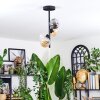 Chehalis Plafondlamp, Kogellampje Amber, Duidelijk, Rookkleurig, 4-lichts