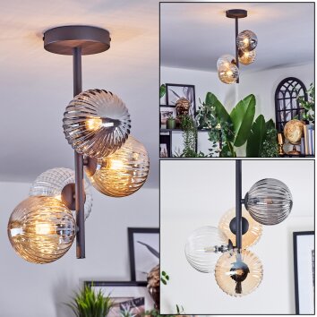 Chehalis Plafondlamp, Kogellampje Amber, Duidelijk, Rookkleurig, 4-lichts