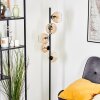 Koyoto Kogellampje, Staande lamp Amber, Duidelijk, 5-lichts