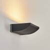 Damor Wandlamp voor buiten, Wandlamp LED Zwart, 1-licht