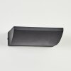 Damor Wandlamp voor buiten, Wandlamp LED Zwart, 1-licht