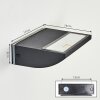 Damor Wandlamp voor buiten, Wandlamp LED Zwart, 1-licht