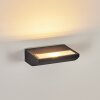 Damor Wandlamp voor buiten, Wandlamp LED Zwart, 1-licht