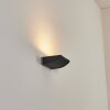 Damor Wandlamp voor buiten, Wandlamp LED Zwart, 1-licht