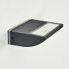 Damor Wandlamp voor buiten, Wandlamp LED Zwart, 1-licht