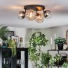 Chehalis Plafondlamp, Kogellampje Amber, Duidelijk, Rookkleurig, 4-lichts