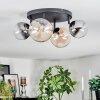 Chehalis Plafondlamp, Kogellampje Amber, Duidelijk, Rookkleurig, 4-lichts