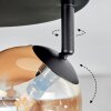 Chehalis Plafondlamp, Kogellampje Amber, Duidelijk, Rookkleurig, 4-lichts