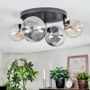 Chehalis Plafondlamp, Kogellampje Amber, Duidelijk, Rookkleurig, 4-lichts