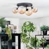 Chehalis Plafondlamp, Kogellampje Amber, 4-lichts