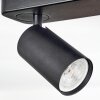Foren Plafondlamp, Plafondspot LED Zwart, 4-lichts, Kleurwisselaar