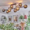 Koyoto Plafondlamp, Kogellampje Chroom, Rookkleurig, 10-lichts