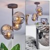 Chehalis Plafondlamp, Kogellampje Rookkleurig, 4-lichts