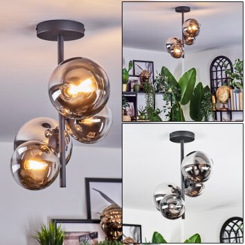 Chehalis Plafondlamp, Kogellampje Chroom, Duidelijk, Rookkleurig, 4-lichts