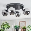 Chehalis Plafondlamp, Kogellampje Chroom, Rookkleurig, 4-lichts