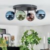 Chehalis Plafondlamp, Kogellampje Blauw, Groen, Koperkleurig, 4-lichts