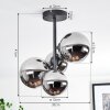 Chehalis Plafondlamp, Kogellampje Chroom, Duidelijk, Rookkleurig, 4-lichts