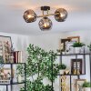 Ripoll Plafondlamp, Kogellampje Goud, Zwart, 3-lichts