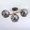 Ripoll Plafondlamp, Kogellampje Goud, Zwart, 3-lichts