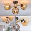 Ripoll Plafondlamp, Kogellampje Goud, Zwart, 3-lichts